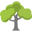 Mechanicsville Tree Removal